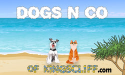 Dogs N Co of Kingscliff