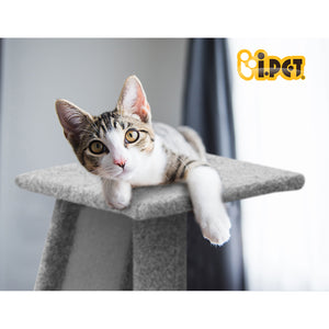 i.Pet Cat Tree 82cm Trees Scratching Post Scratcher Tower Condo House Furniture Wood Slide Aus