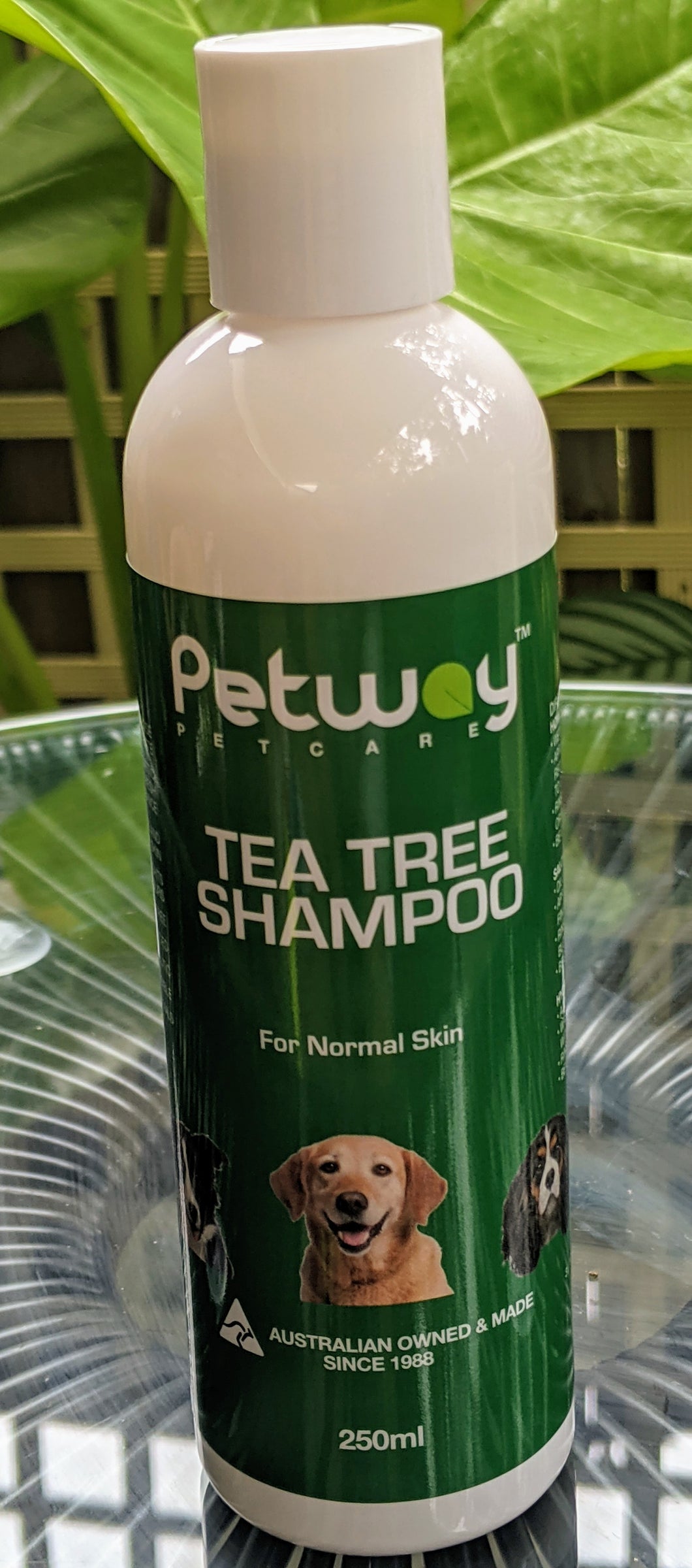 Tea Tree Shampoo Concentrate 250ml Aus