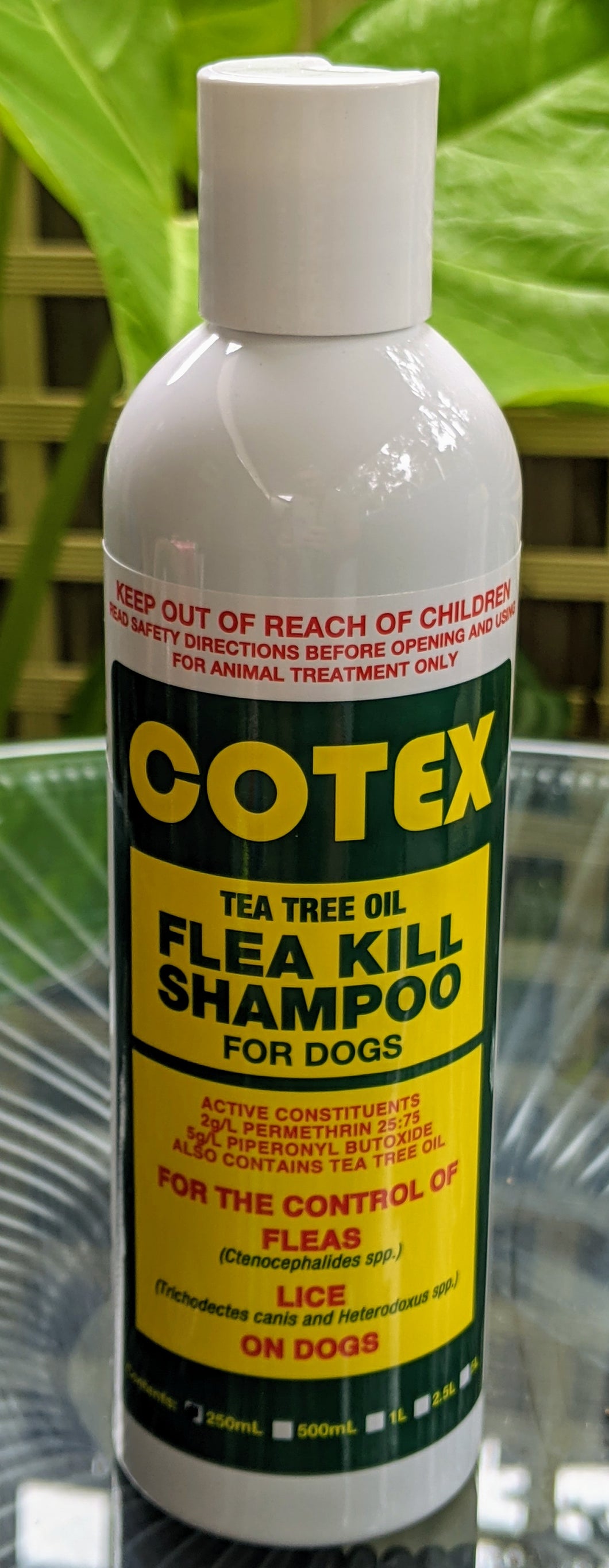 Cotex Tea Tree Oil Flea Kill Shampoo for Dogs 250ml  Aus