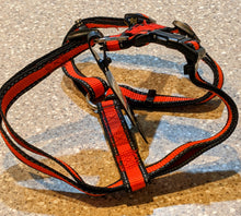 Load image into Gallery viewer, Harness for Dogs H-Shape Small-Medium Dogs Aus