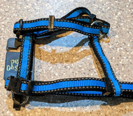 Harness Royal Blue H-Style Dogs Harness Aus