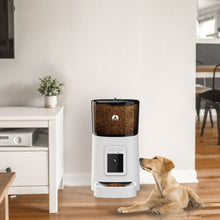 Load image into Gallery viewer, 3 Floofi Smart Pet Feeder with Camera - White - FI-FD-109-CX