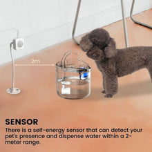 Load image into Gallery viewer, Floofi Pet Water Fountain Dispenser 1.8L with Sensor FI-WD-105-ZM