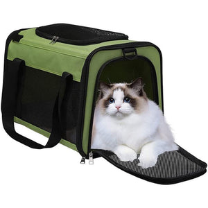 4.5 Floofi Portable Pet Carrier-L Size (Green) FI-PC-140-FCQ