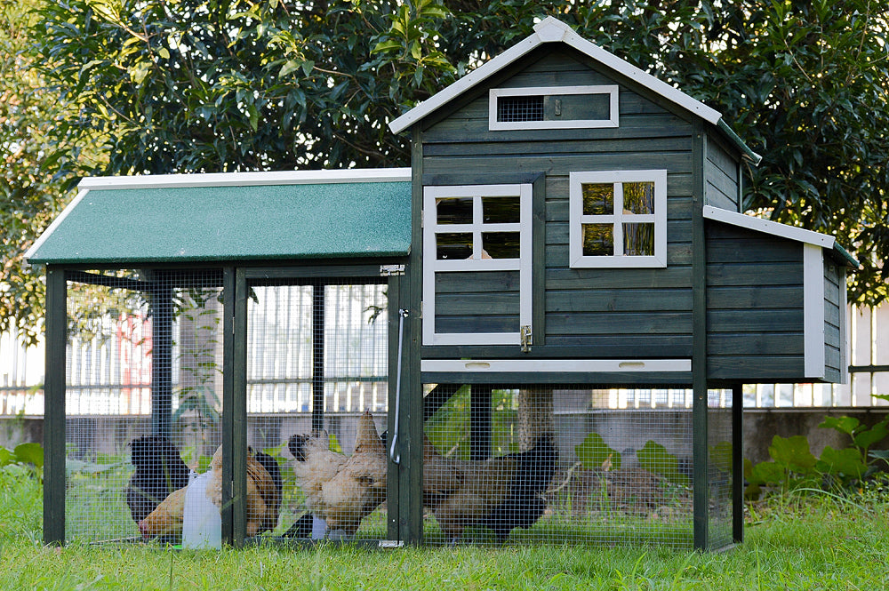 2A XL Chicken Coop Rabbit Hutch Guinea Pig Cage Ferret House