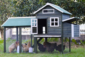 2A XL Chicken Coop Rabbit Hutch Guinea Pig Cage Ferret House