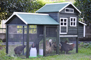 2A XL Chicken Coop Rabbit Hutch Guinea Pig Cage Ferret House