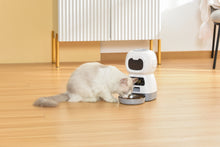 Load image into Gallery viewer, 1.1 3.5L Visible Automatic Digital Pet Dog Cat Feeder Food Bowl Dispenser